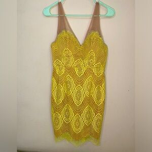 NWT - Form Fitting Lace Netted Dress